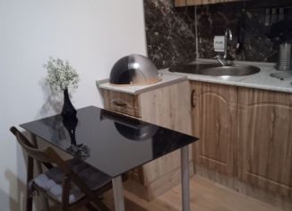 1-ком. квартира в аренду, 32 м2, Мурино, Графская улица, 12к1, ЖК Гринландия-2