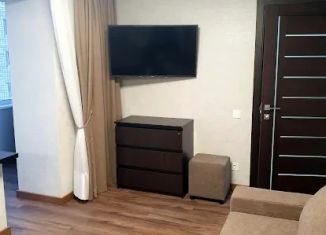 Сдам в аренду однокомнатную квартиру, 30 м2, Барнаул, улица Эмилии Алексеевой, 64, Ленинский район