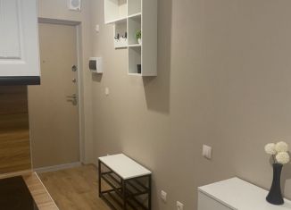 Продаю квартиру студию, 22.5 м2, посёлок Парголово, Толубеевский проезд, 8к2