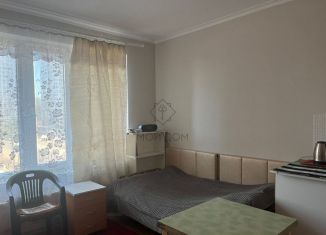 Сдаю квартиру студию, 25 м2, деревня Раздоры, улица Липовой Рощи, 1к2