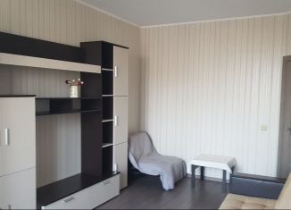 Сдаю в аренду 1-ком. квартиру, 41.5 м2, Санкт-Петербург, улица Ворошилова, 25к1, ЖК Ладожский Парк