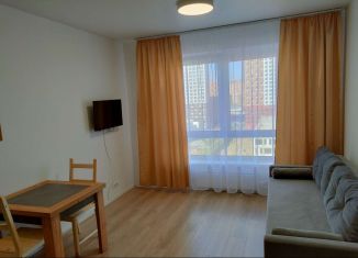 Сдается квартира студия, 19.6 м2, Люберцы, улица 8 Марта, 12к3, ЖК Люберцы Парк