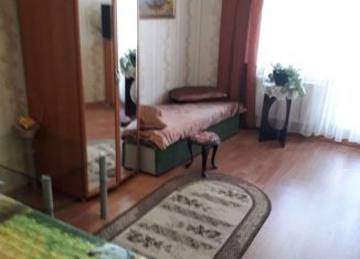 1-комнатная квартира в аренду, 40 м2, Пермь, Баранчинская улица, 10, Мотовилихинский район