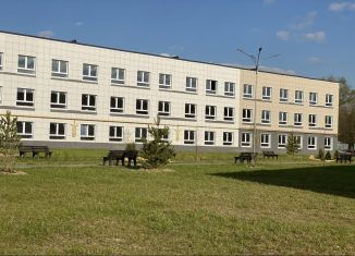 Продам квартиру со свободной планировкой, 38.3 м2, деревня Скрылья, деревня Скрылья, 279