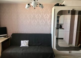 Квартира на продажу студия, 21.9 м2, Берёзовский, Новая улица, 20, ЖК Рябина-парк