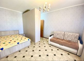 Сдается в аренду однокомнатная квартира, 30 м2, Татарстан, улица Рихарда Зорге, 96А