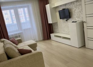 Сдается в аренду 1-ком. квартира, 38.5 м2, Йошкар-Ола, улица Йывана Кырли, 35А, микрорайон Дружный