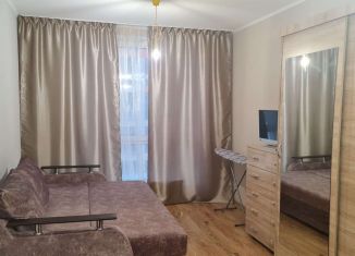 Продажа квартиры студии, 22.5 м2, посёлок Парголово, Толубеевский проезд, 8к2