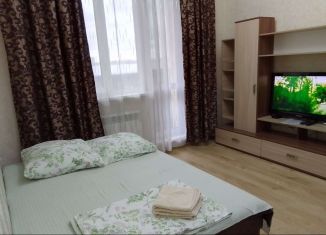 Квартира в аренду студия, 28 м2, Улан-Удэ, улица Смолина, 67 к2