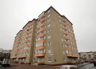 2-ком. квартира в аренду, 60 м2, Пушкин, Красносельское шоссе, 55