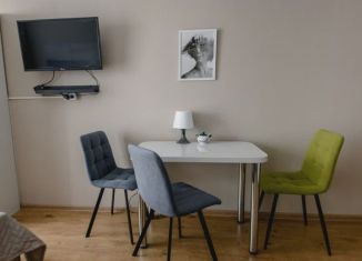 Продается квартира студия, 22.1 м2, посёлок Парголово, Толубеевский проезд, 8к2