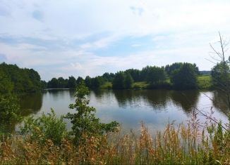 Продается земельный участок, 10 сот., деревня Белугино, деревня Белугино, 20