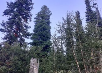 Продам участок, 12 сот., село Турочак