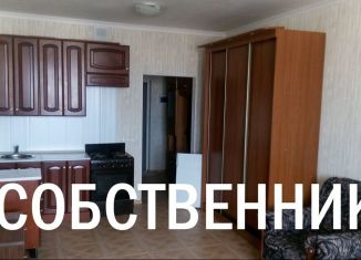 Сдам в аренду квартиру студию, 30 м2, Московская область, проспект Красной Армии, 251А