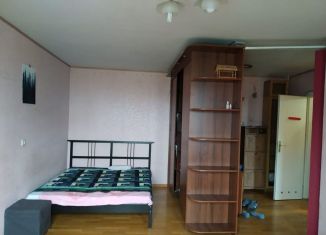 Сдается 1-комнатная квартира, 38 м2, Санкт-Петербург, улица Веденеева, 12к1