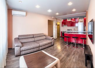 Сдаю в аренду 2-ком. квартиру, 50 м2, Новосибирская область, Геодезическая улица, 17/1