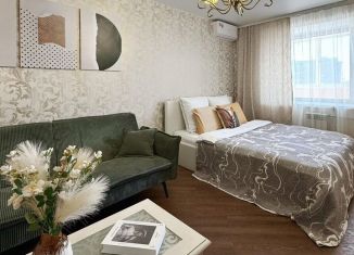 Сдача в аренду 1-комнатной квартиры, 42 м2, Амурская область, Зейская улица, 269