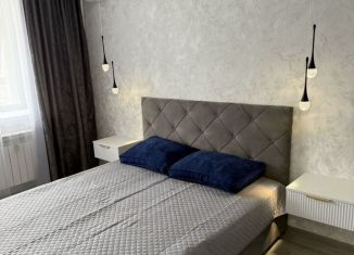 Сдам 1-ком. квартиру, 45 м2, Благовещенск, Заводская улица, 4/5