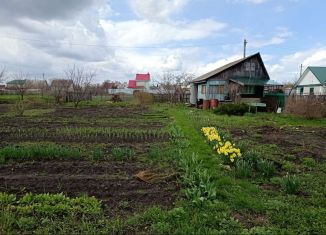 Продаю дачу, 25 м2, СНТ Оазис, Виноградная улица