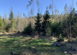 Дом на продажу, 50 м2, посёлок Синёво