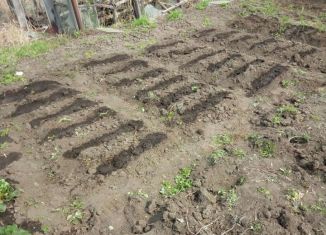 Продам дачу, 25 м2, Бийск, СНТ Котельщик, 36