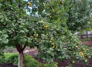 Продается дача, 10 м2, Республика Башкортостан, улица Карла Маркса