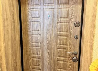 Продаю 1-комнатную квартиру, 30.5 м2, деревня Крутые Выселки, улица Герасимова, 2, ЖК Изумрудный Город