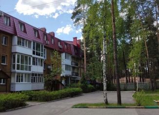 2-ком. квартира на продажу, 51 м2, село Кокшайск, Заводская улица, 55