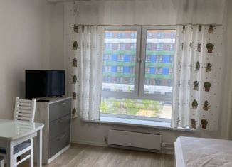 Сдаю в аренду квартиру студию, 20 м2, Люберцы, улица Лётчика Ларюшина, 14, ЖК Жулебино Парк