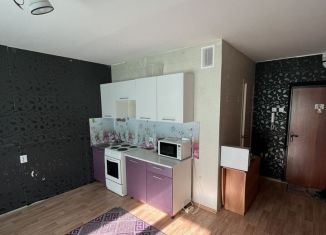 Продаю квартиру студию, 24.5 м2, посёлок Западный, Изумрудная улица, 8