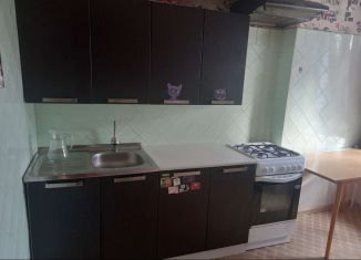 Сдаю в аренду однокомнатную квартиру, 33 м2, Санкт-Петербург, проспект Науки, 41, метро Академическая