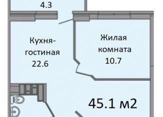 Двухкомнатная квартира на продажу, 45 м2, Ростов-на-Дону, 2-я Краснодарская улица, 169Бс2, ЖК Я