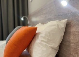 Продается квартира студия, 22.1 м2, посёлок Парголово, Толубеевский проезд, 8к2