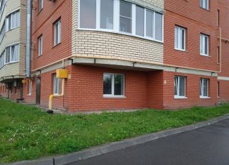 Продажа помещения свободного назначения, 442 м2, деревня Чергаши, Пригородная улица, 32