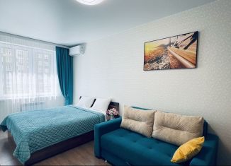Сдам 1-комнатную квартиру, 40 м2, Омская область, улица Крупской, 13А