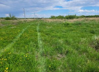 Продажа земельного участка, 10 сот., село Новая Беденьга, Цветочная улица, 9