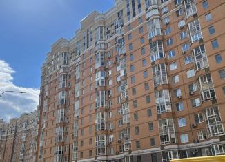 Продажа 1-комнатной квартиры, 44 м2, Москва, 6-я Радиальная улица, 3к11, ЖК Царицыно