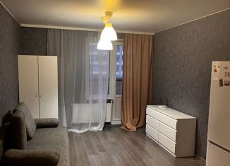 Сдаю в аренду квартиру студию, 26 м2, Мурино, Петровский бульвар, 7, ЖК Ласточка