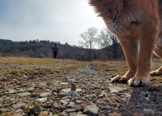 Продается участок, 182 сот., Верхореченское сельское поселение