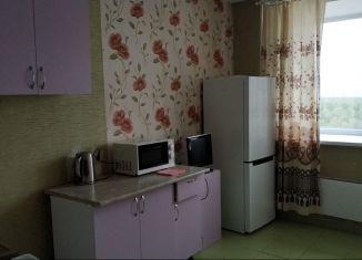 Аренда 2-комнатной квартиры, 60 м2, Пермь, 1-я Ипподромная улица, 5, ЖК Великан