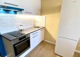 Сдам в аренду 1-комнатную квартиру, 42 м2, деревня Раздоры, улица Липовой Рощи, 2к3