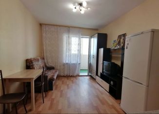 Квартира в аренду студия, 28 м2, Санкт-Петербург, улица Бабушкина, 82к3, метро Пролетарская