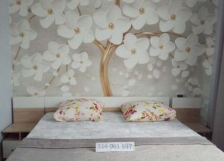 Сдача в аренду дома, 51 м2, село Окунёвка, Первомайская улица, 25