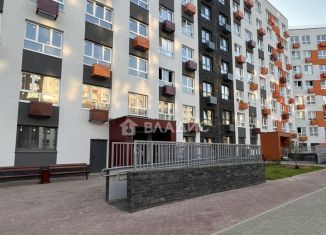 Продам квартиру студию, 24 м2, деревня Глухово, Романовская улица, 5