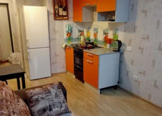 Сдается квартира студия, 22 м2, Мурино, Воронцовский бульвар, 17, ЖК Алфавит