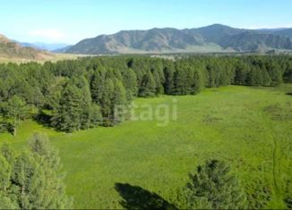 Продам участок, 8.8 сот., село Туекта