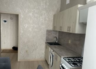 Сдается в аренду 2-комнатная квартира, 59.5 м2, поселок Темерницкий, Центральная улица, 5к3