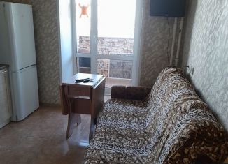 1-комнатная квартира в аренду, 45 м2, Нижегородская область, Магистральная улица