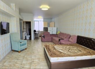 Сдам в аренду однокомнатную квартиру, 40 м2, Севастополь, садоводческое товарищество Пилот, 168