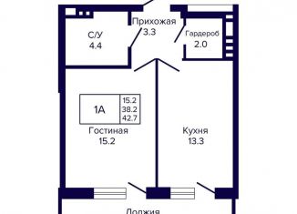 Продаю 1-комнатную квартиру, 42.7 м2, Новосибирск, улица Ляпидевского, 5